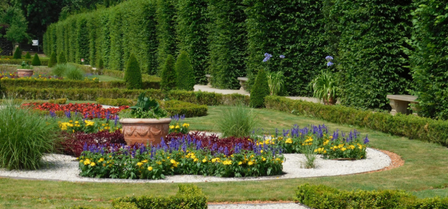 Ogród wilanowski. Na pierwszym planie kolorowe kwiaty i donice.