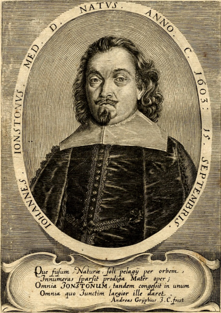 Stara rycina. Przedstawia mężczyznę w starszym wieku, ubranego w strój historyczny: ciemny frak zapinany na rząd guzików, biały kołnierz. Mężczyzna ma półdługie, kręcone włosy, wąsy i bródkę. Portret ujęty w eliptyczną ramę  na której są napisy. Pod portretem opis. Jest to grafika przedstawiająca portret Jana Jonstona. 