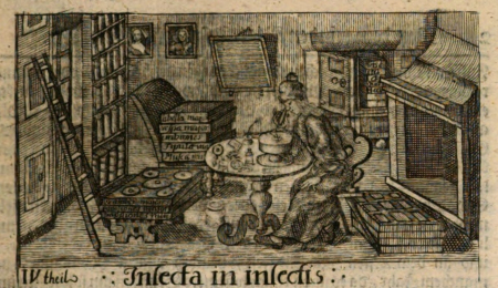 Stara rycina. Przedstawia wnętrze mieszkalne. Pośrodku okrągły stół i siedząca przy nim kobieta. Po  lewej stronie regały i drabina oparta o jeden z nich. Po prawej stronie kominek. Na ziemi leżą sterty płaskich pudeł.