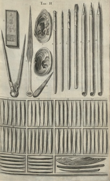 Rycina przedstawia rząd narzędzi, cyrkiel, ostrze i dwie muszle. Są to narzędzia rysownicze.